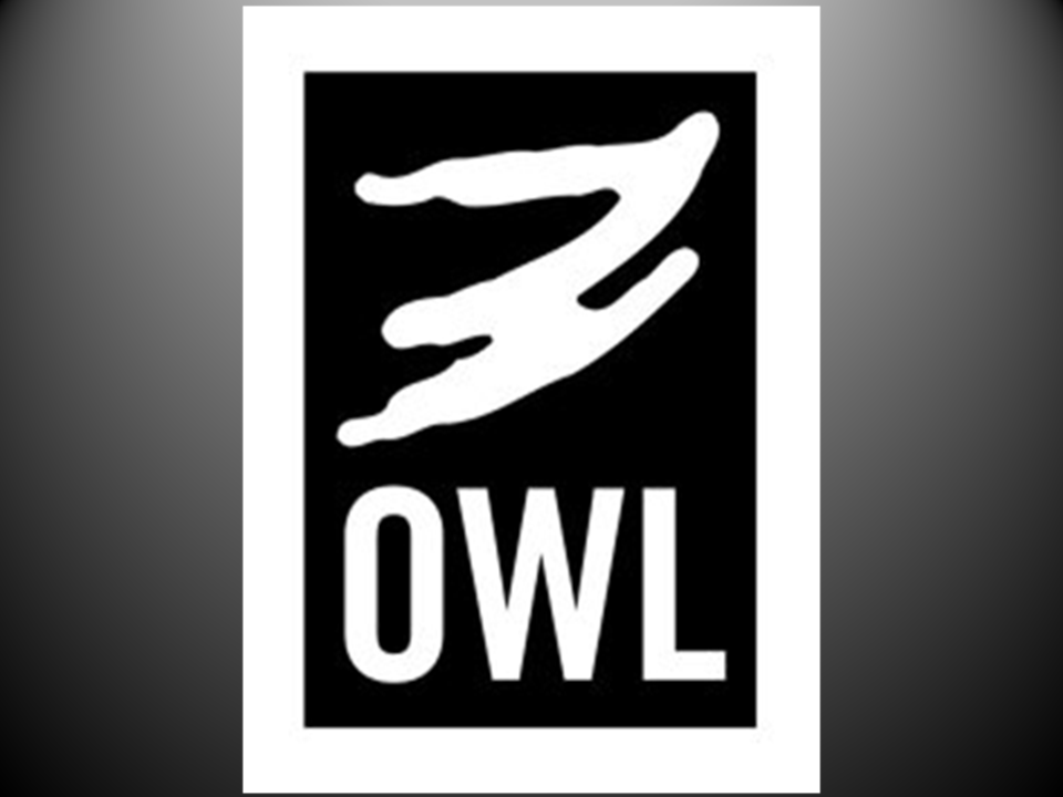 Citywide Our Whole Lives (OWL) Needs You