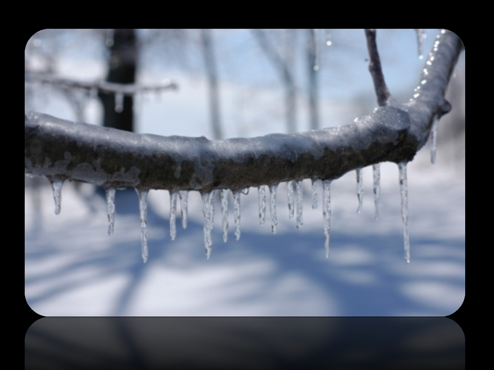 The Ice Storm