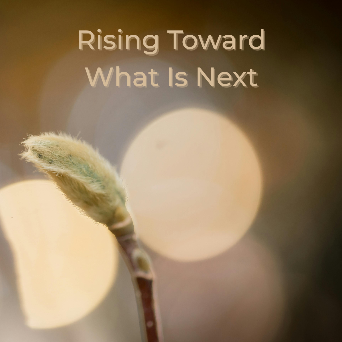 Rising Toward What Is Next