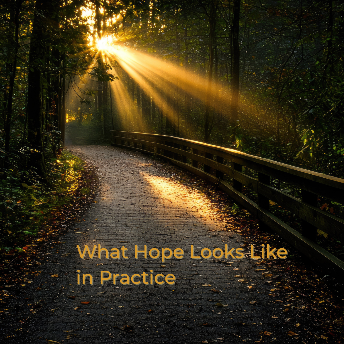 “What Hope Looks Like in Practice”