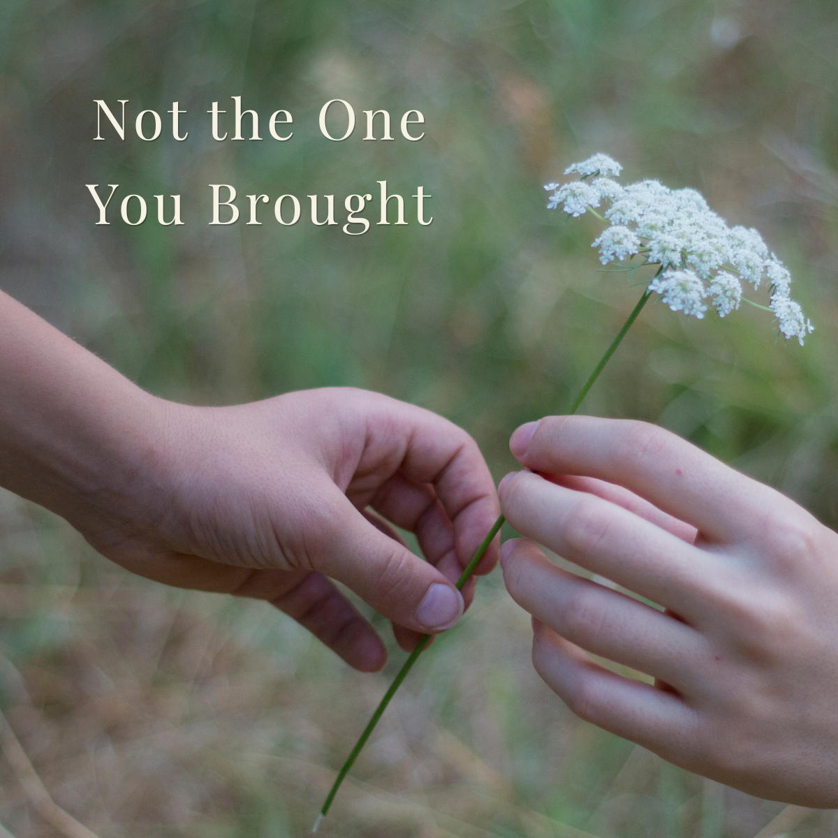 Not the One You Brought