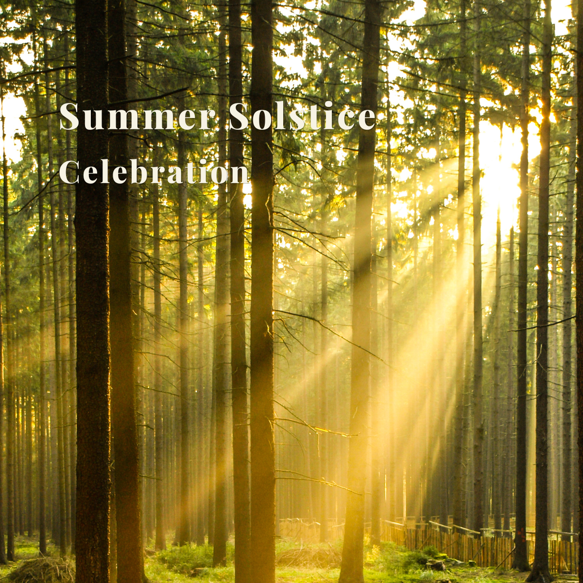 Summer Solstice Celebration