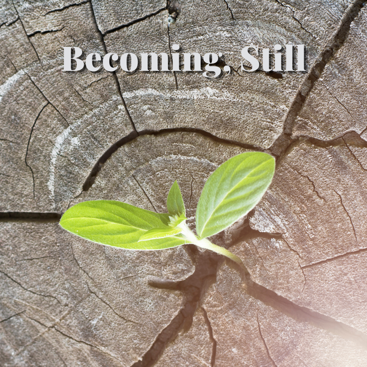 “Becoming, Still”